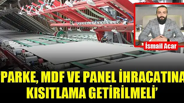 'Parke, MDF ve Panel ihracatına kısıtlama getirilmeli'