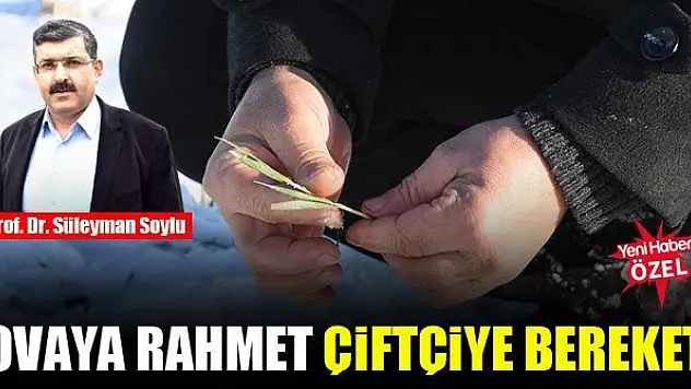 Yağışlar çiftçinin imdadına yetişti