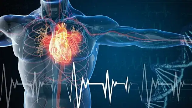 Uzayda yaşam mümkün olabilir mi? NASA astronotunun kalbi küçüldü
