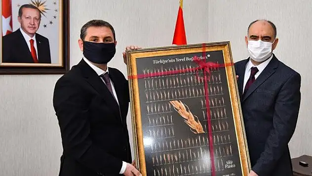Türkiye'nin yerel buğday envanteri çıkarıldı