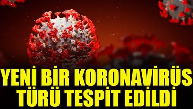 Yeni bir koronavirüs türü tespit edildi