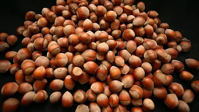 Türkiye'nin fındık ihracatının yüzde 40'ı Trabzon'dan yapıldı