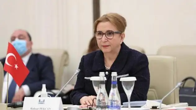 Pekcan: Azerbaycan'la 15 milyar dolarlık ticaret hacmi hedefine yaklaştık