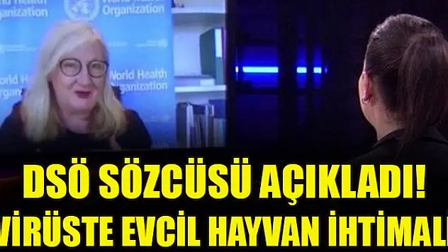 DSÖ sözcüsü açıkladı! Virüste evcil hayvan ihtimali