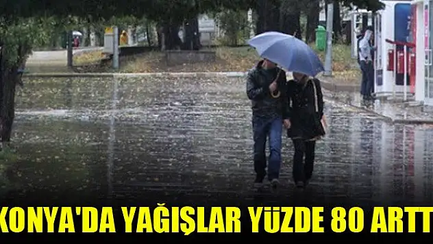 Konya'da yağışlar yüzde 80 arttı