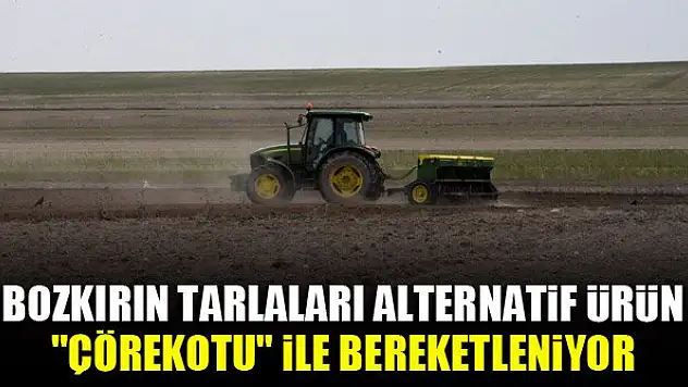 Bozkırın tarlaları alternatif ürün 'çörekotu' ile bereketleniyor