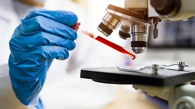 Bilim insanları havadan DNA topladı