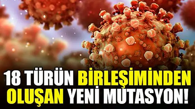 18 türün birleşiminden oluşan yeni mutasyon!
