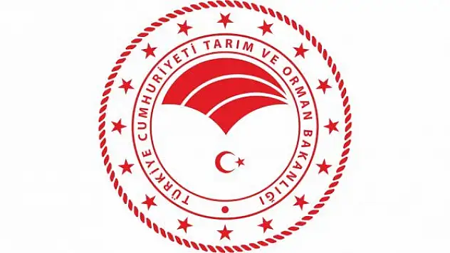 İhaleyle araç kiralama hizmeti alınacak