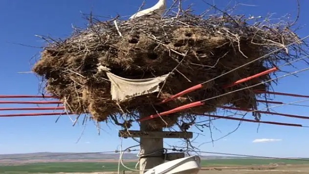 MEDAŞ' tan doğa dostu proje
