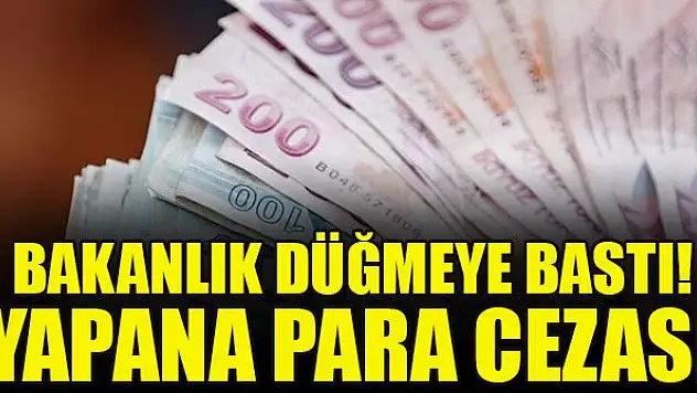 Bakanlık düğmeye bastı! Yapana para cezası