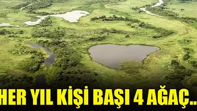 Her yıl kişi başı 4 ağaç...