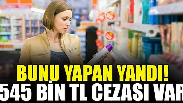 Resmi Gazete'de yayımlandı! Bunu yapan yandı 545 bin TL cezası var