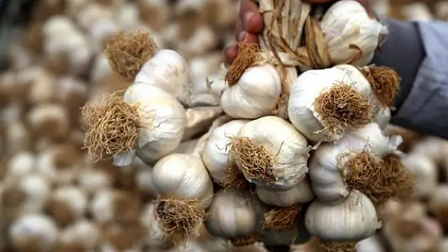 Türkiye'nin AB'de tescilli coğrafi işareti 7'ye çıktı