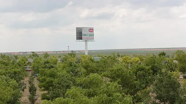 Konya Şeker 18 milyon fidan dikti