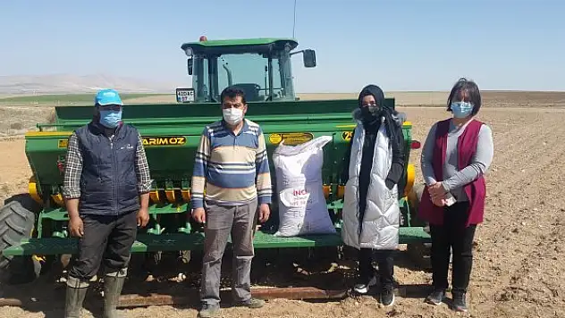 Yerli ve milli tohumlar toprakla buluşuyor