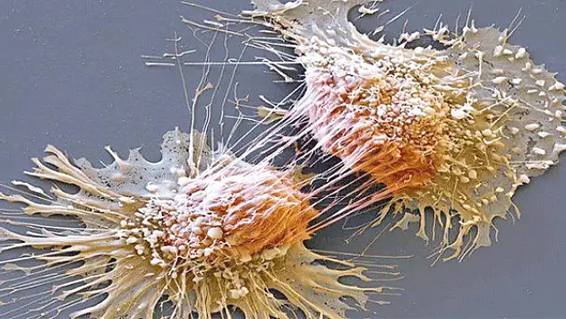 İlk elektronlu mikroskobun serüveni 20. yüzyılda başladı