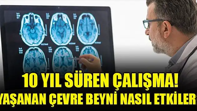 10 yıl süren çalışma! Yaşanan çevre beyni nasıl etkiler?