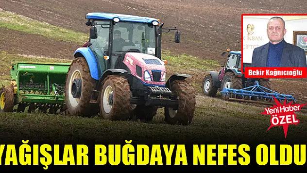 Yağışlar buğdaya nefes oldu!