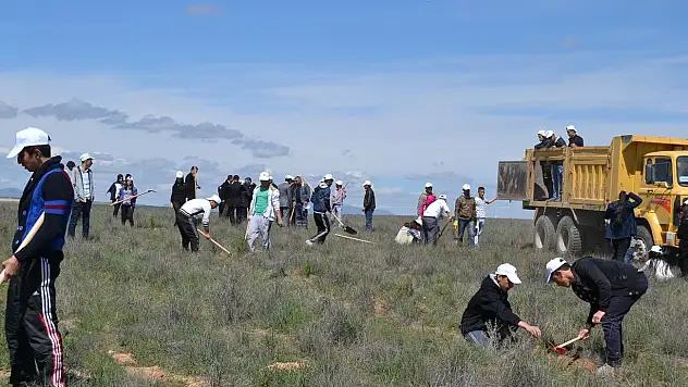 Kulu'da 16 bin 600 fidan toprakla buluştu