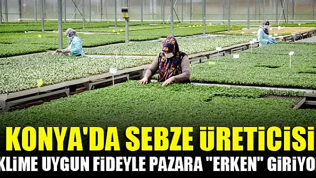 Konya'da sebze üreticisi iklime uygun fideyle pazara 'erken' giriyor