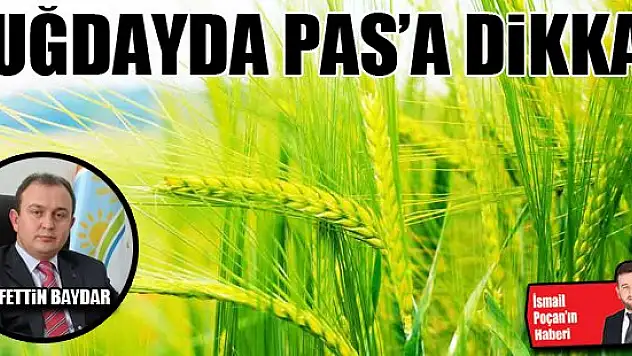 Buğdayda pas'a dikkat