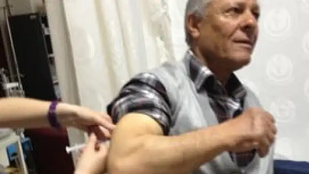 Kedi kendisini etle besleyen sahibini ısırdı