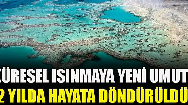 Küresel ısınmaya yeni umut! 2 yılda hayata döndürüldü
