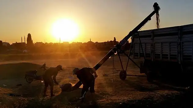 Üreticilere 1,5 milyar liradan fazla destek ödemesi yapılacak