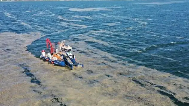 38 günde 100 ton deniz salyası temizlendi