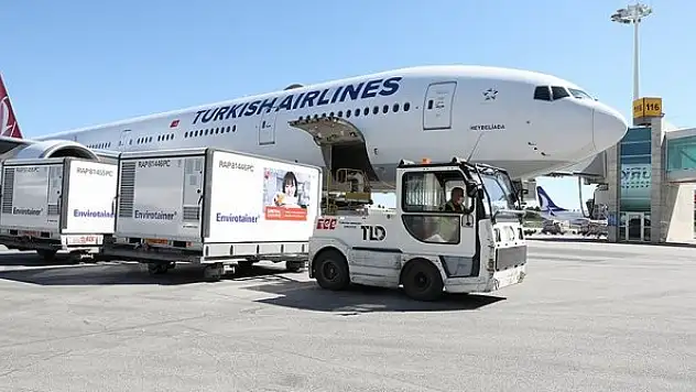 CoronaVac aşısının yeni partisi Türkiye'ye ulaştı