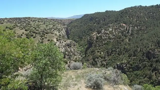 Ümmü kızın türküsü de kuraklığa yenildi