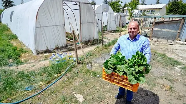 Hobi amaçlı sera kurdu, taleplere yetişemez hale geldi