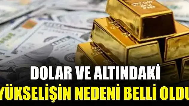 Dolar ve altındaki yükselişin nedeni belli oldu