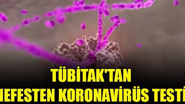 TÜBİTAK'tan nefesten koronavirüs testi
