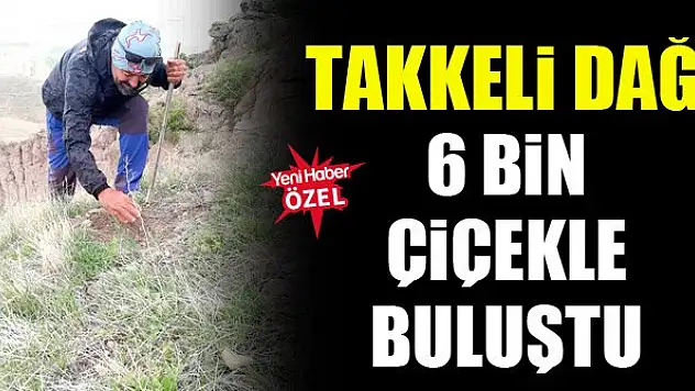 Takkeli Dağ 6 bin çiçekle buluştu