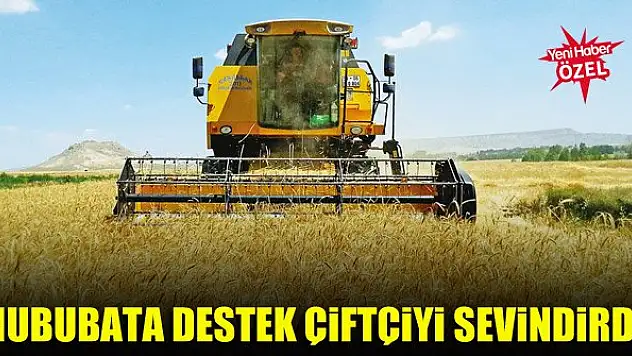 Hububata destek çiftçiyi sevindirdi