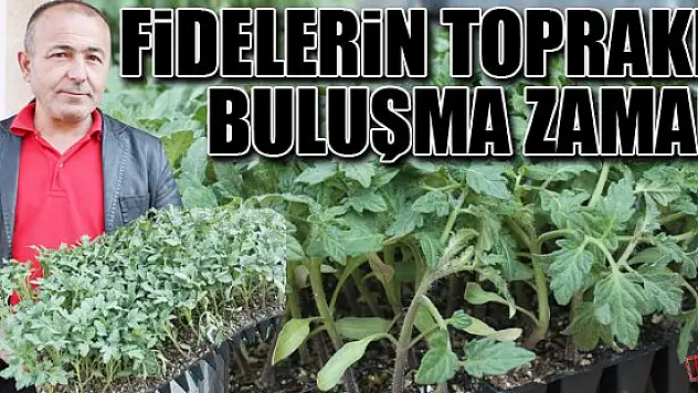 Fidelerin toprakla buluşma zamanı