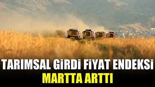 Tarımsal girdi fiyat endeksi martta arttı