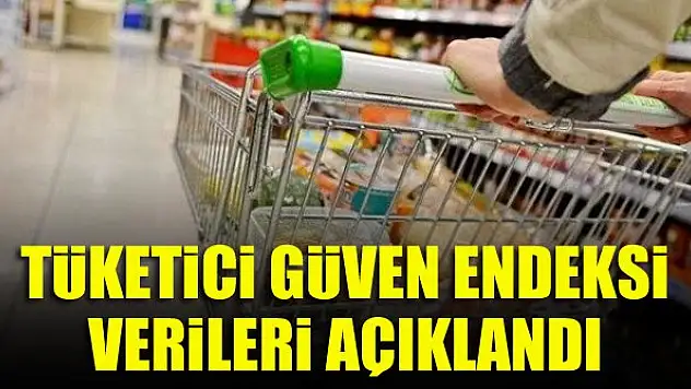 Tüketici güven endeksi verileri açıklandı