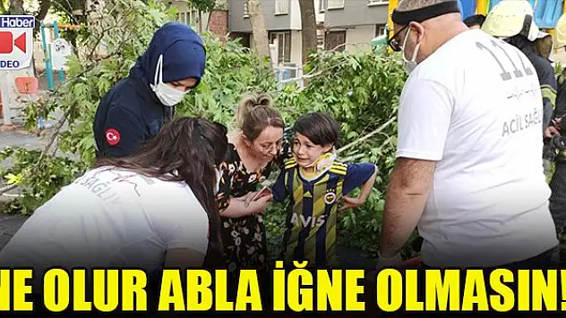 Üzerine ağaç devrildi, iğneden korktuğu için ambulansa binmedi