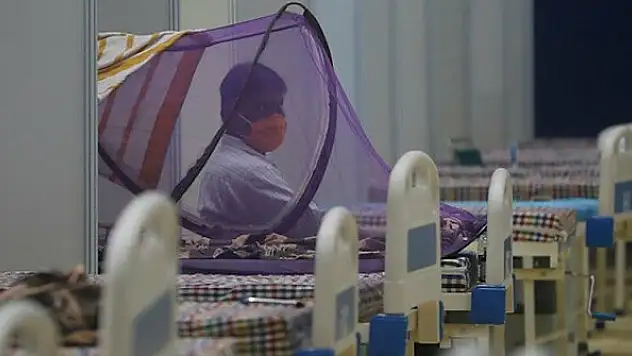 Hindistan 'Kara mantar' salgını: Hükümet çağrıda bulundu