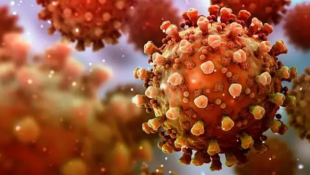 Danimarka'da Hindistan varyantına rastlandı