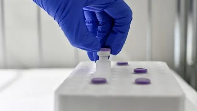 BioNTech ve Sinovac'ın hastanelere etkisi araştırılıyor