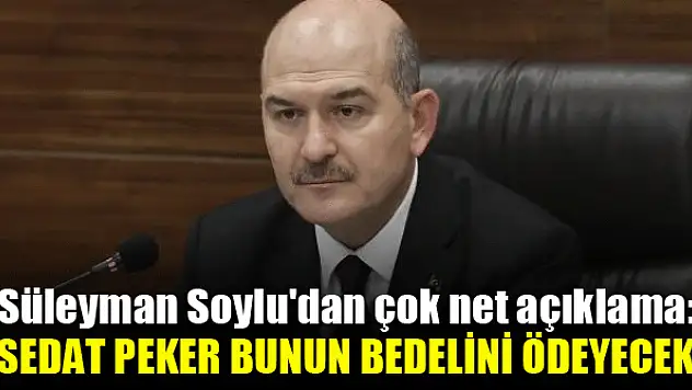 Süleyman Soylu'dan çok net açıklama: Operasyonun hedefi Türkiye