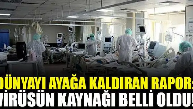 Dünyayı ayağa kaldıran rapor: Virüsün kaynağı belli oldu!