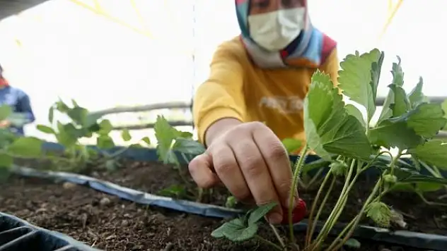Fedakar öğretmenler 'özel öğrenciler' için toprağa dokundu