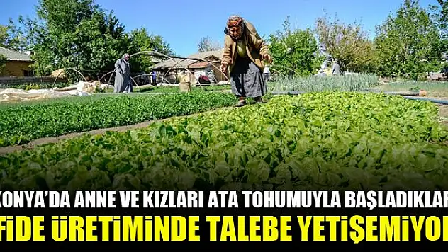 Konya'da anne ve kızları ata tohumuyla başladıkları fide üretiminde talebe yetişemiyor