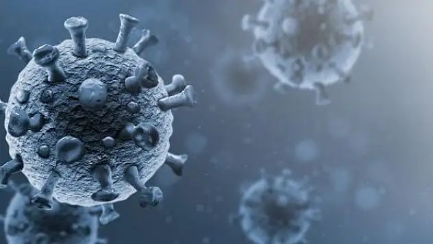 ABD istihbaratı virüsün kökenini araştırmaya devam ediyor