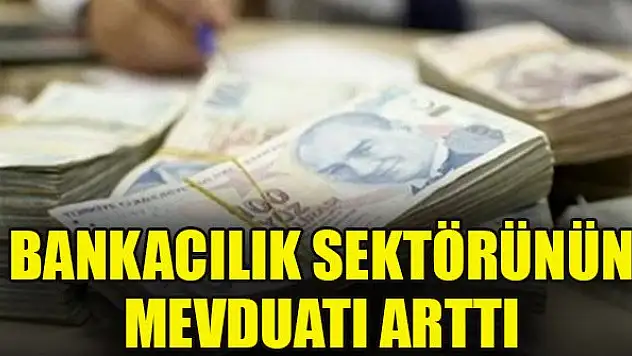 Bankacılık sektörünün mevduatı arttı